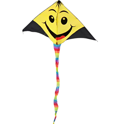 Beach Kite for Kids, 160x85cm Large Flying Toy