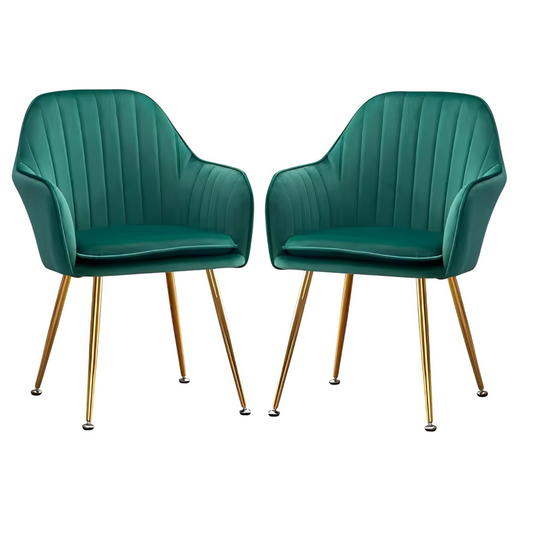 Modern Velvet Dining Chairs (Set of 2)