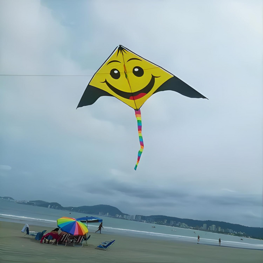 Beach Kite for Kids, 160x85cm Large Flying Toy