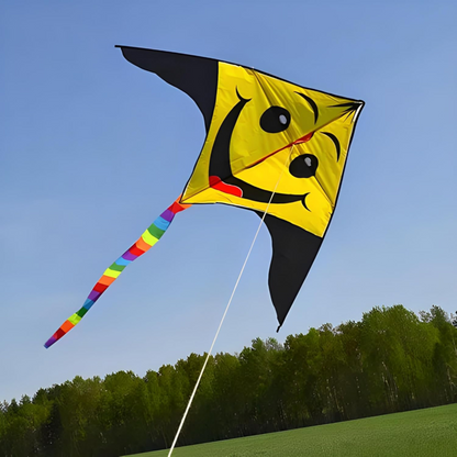 Beach Kite for Kids, 160x85cm Large Flying Toy