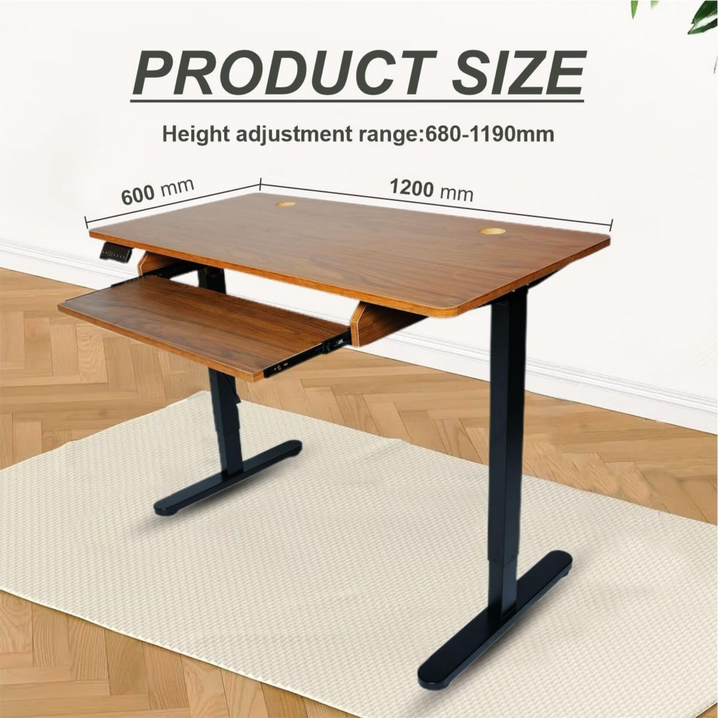 BaytBox Electric Height Adjustable Desk (Brown)