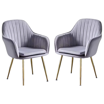 Modern Velvet Dining Chairs (Set of 2) Grey