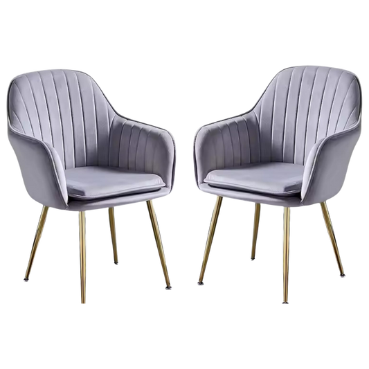 Modern Velvet Dining Chairs (Set of 2) Grey