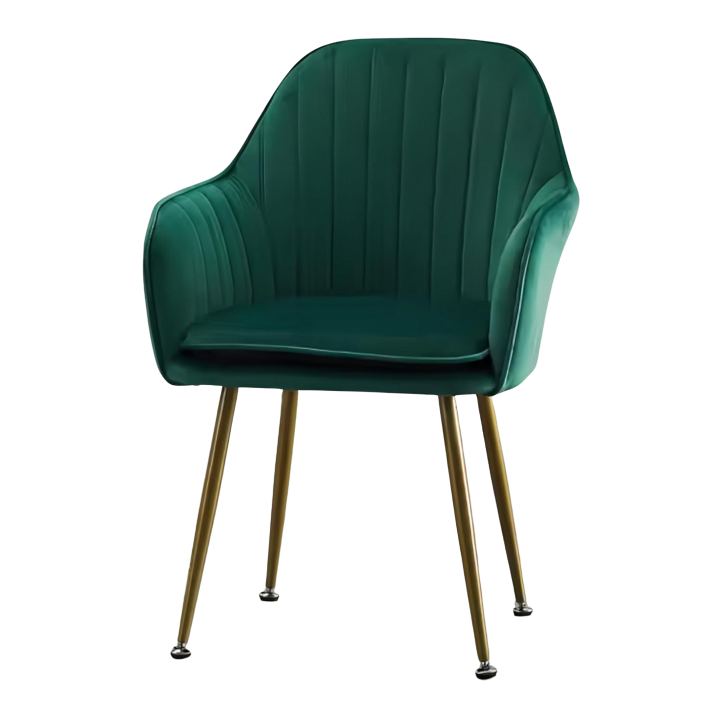 Modern Velvet Dining Chairs (Set of 2)