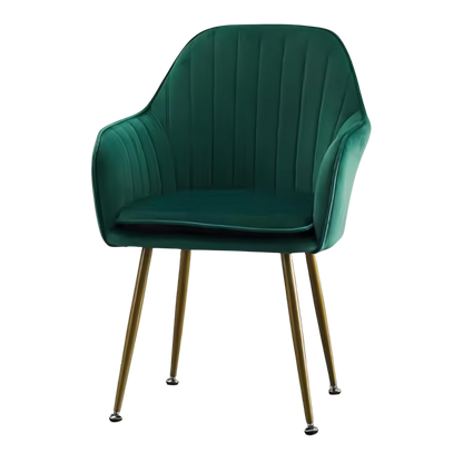 Modern Velvet Dining Chairs (Set of 2)