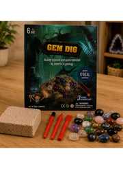 Maanys gem dig excavation kit