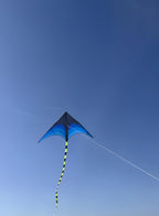 Maanys Blue & Black Kite - Noon image 2
