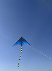 Maanys Blue & Black Kite - Noon image 2