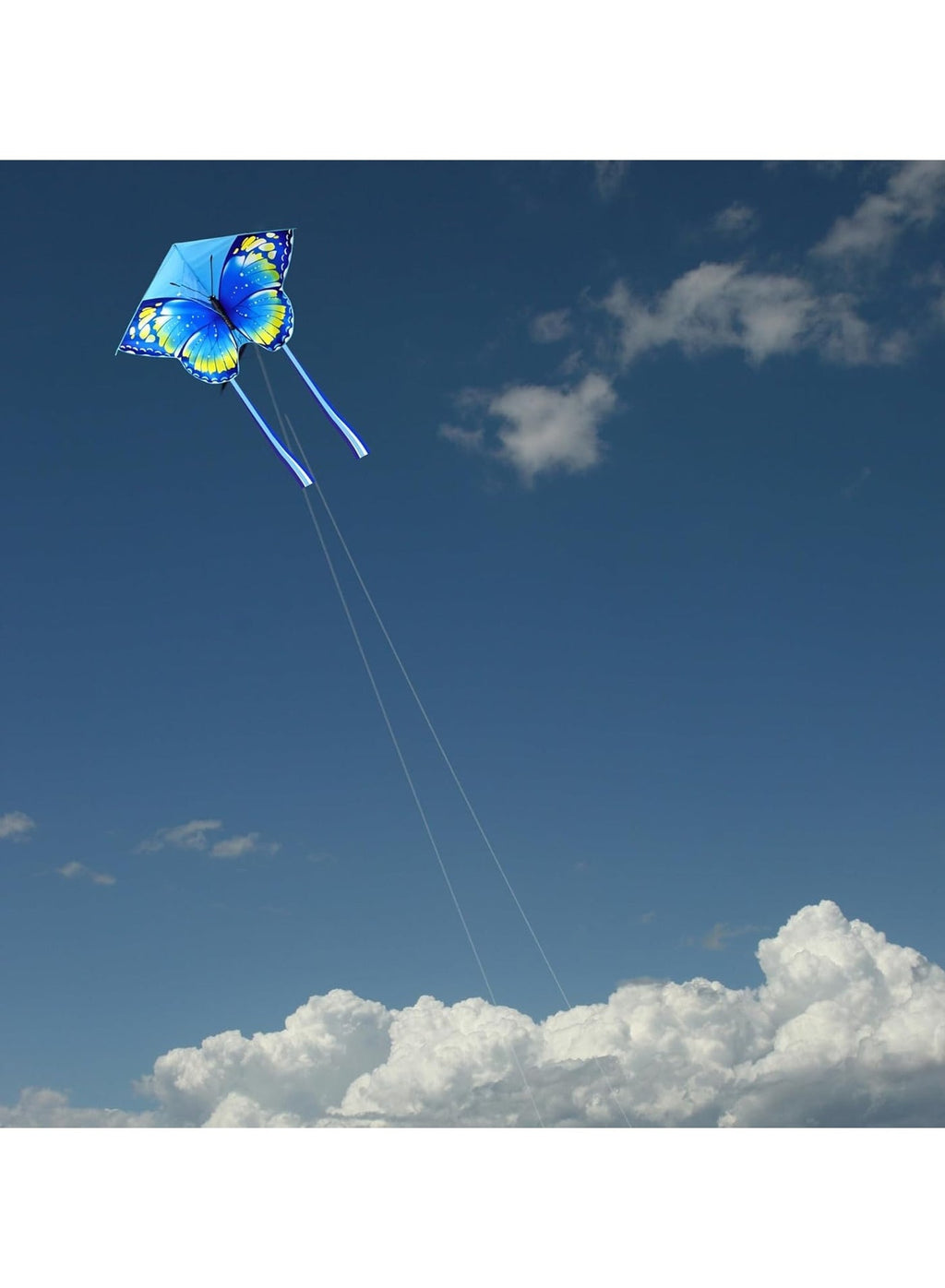 Maanys Butterfly Blue Kite - Noon image 5